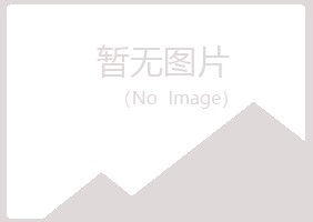 鹤岗兴山夏槐美容有限公司